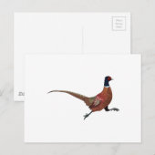 ZWANGERSCHAP BRIEFKAART (Voorkant / Achterkant)