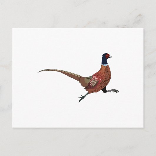 ZWANGERSCHAP BRIEFKAART (Voorkant)