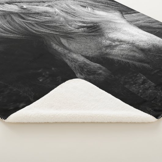 Zwangerschap Dartmoor Pony Mare-portret Sherpa Deken (3/4)