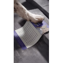 Zwangerschap en borstvoeding Zwemende schoonheidss