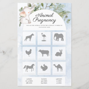 Zwangerschap Jongen Baby shower