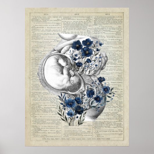Zwangerschap Kunstwerk Anatomie Womb met blauwe bl Poster (Voorkant)