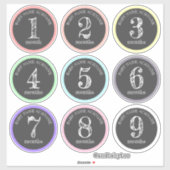 Zwangerschap Maandelijkse Baby Bump Stickers (Vel)