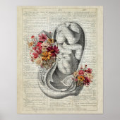 Zwangerschap OB/GYN Wall Art Poster (Voorkant)