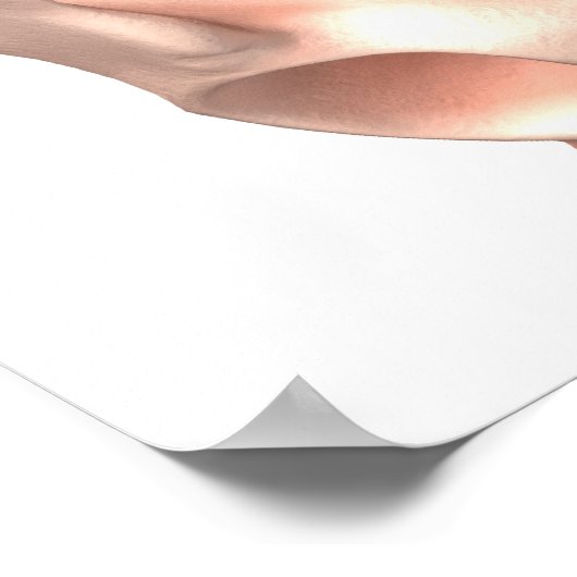 Zwangerschap Poster (Hoek)