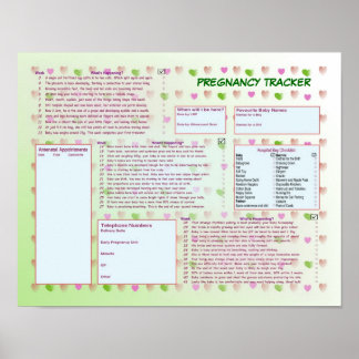 Zwangerschap Poster