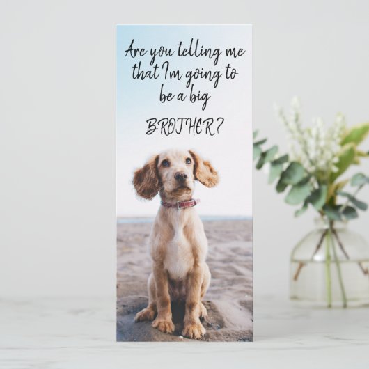 Zwangerschap van Big Brother/Zuster Pet Aankondigi Aankondiging (Staand voorkant)