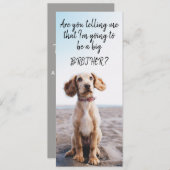 Zwangerschap van Big Brother/Zuster Pet Aankondigi Aankondiging (Voorkant / Achterkant)