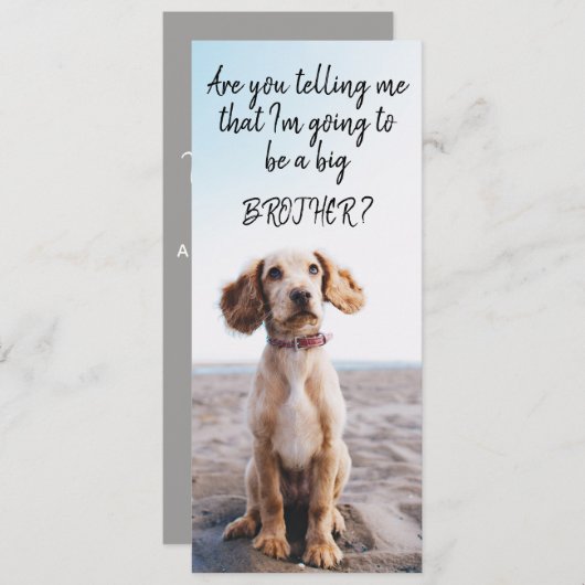 Zwangerschap van Big Brother/Zuster Pet Aankondigi Aankondiging (Voorkant / Achterkant)