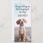 Zwangerschap van Big Brother/Zuster Pet Aankondigi Aankondiging (Voorkant)