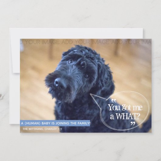 Zwangerschap Zwangerschap Zwangerschap Zwangerscha Kaart (Voorkant)