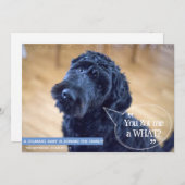 Zwangerschap Zwangerschap Zwangerschap Zwangerscha Kaart (Voorkant / Achterkant)