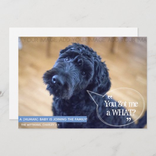 Zwangerschap Zwangerschap Zwangerschap Zwangerscha Kaart (Voorkant / Achterkant)