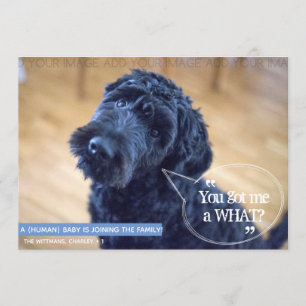 Zwangerschap Zwangerschap Zwangerschap Zwangerscha Kaart