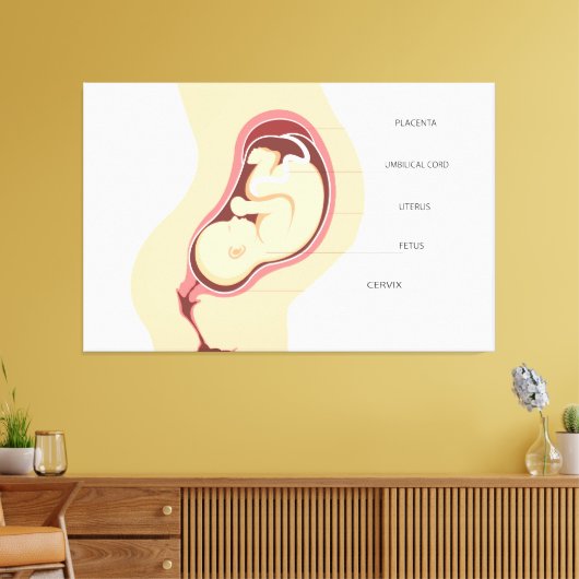 Zwangerschapsanatomie Canvas Afdruk (Insitu (Woonkamer))
