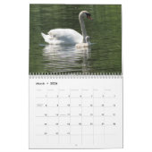 Zwangfamilie foto wandkalender kalender (Mar 2026)