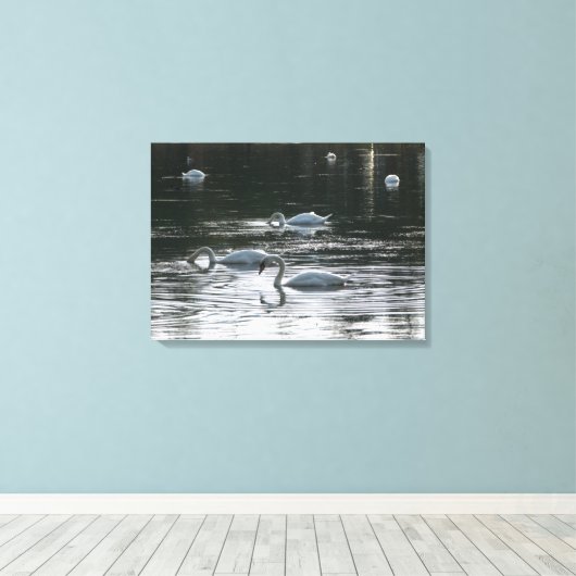 Zwangvoeding, Roath Park Lake, Cardiff Canvas Afdruk (Insitu (Houten vloer))