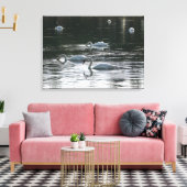 Zwangvoeding, Roath Park Lake, Cardiff Canvas Afdruk (Insitu (Woonkamer))