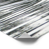 Zwangvoeding, Roath Park Lake, Cardiff Poster (Hoek)