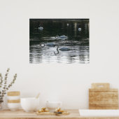 Zwangvoeding, Roath Park Lake, Cardiff Poster (Keuken)