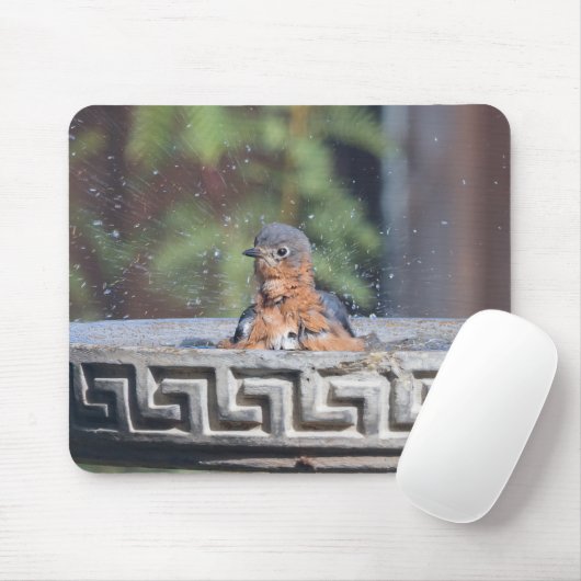 Zwangvogel Muismat (Met muis)