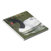 Zwangwesp in zwart-wit en cygnets in water. notitieblok (Schuin)