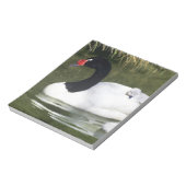 Zwangwesp in zwart-wit en cygnets in water. notitieblok (Linkerzijde)