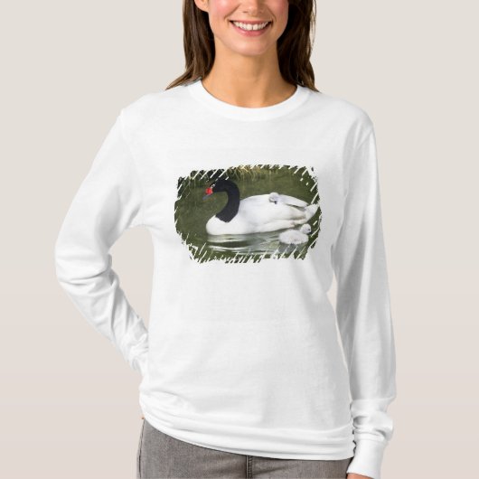 Zwangwesp in zwart-wit en cygnets in water. t-shirt (Voorkant)