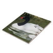 Zwangwesp in zwart-wit en cygnets in water. tegeltje (Zijkant)