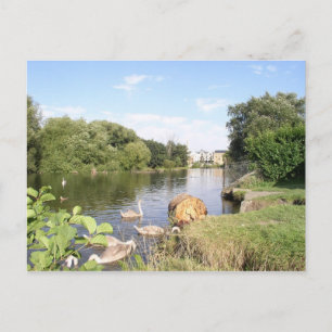 Zwans aan de Liffey Dublin Briefkaart