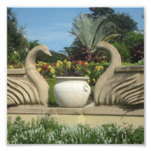 Zwans Bewakende Hollis Gardens op een