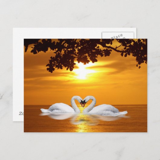 Zwans Briefkaart (Voorkant / Achterkant)