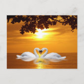 Zwans Briefkaart (Voorkant)