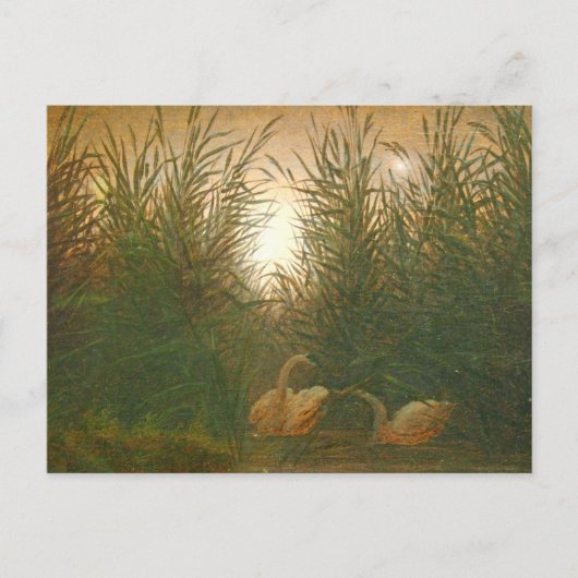 Zwans door Caspar David Friedrich Postc Briefkaart (Voorkant)