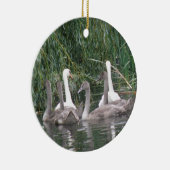 Zwans en Cygnets Ornament (Rechts)