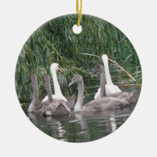 Zwans en Cygnets Ornament