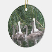 Zwans en Cygnets Ornament (Links)