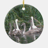 Zwans en Cygnets Ornament (Achterkant)