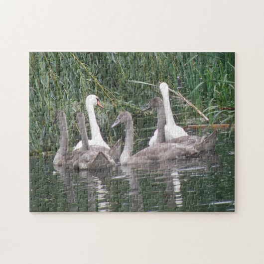 Zwans en knetjes Puzzle Legpuzzel (Horizontaal)