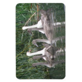 Zwans en netten Premium Magnet Magneet (Verticaal)