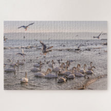Zwans in het Zwarte Zee Jigzaag Puzzle