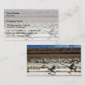 Zwans in Klamath Visitekaartje (Voorkant / Achterkant)