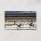 Zwans in Klamath Visitekaartje (Achterkant)