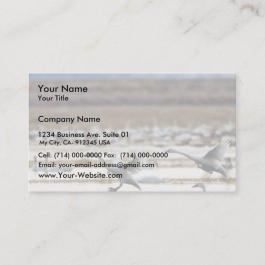 Zwans in Klamath Visitekaartje (Voorkant)