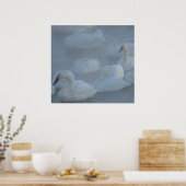 Zwans in Morning Fog (Cygnus buccinator) Poster (Keuken)