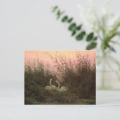 Zwans in the Reeds, c.1820 Briefkaart (Staand voorkant)