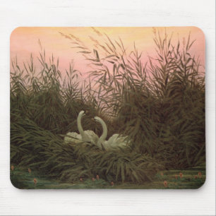 Zwans in the Reeds, c.1820 Muismat