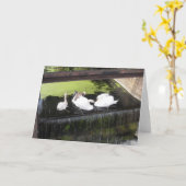 Zwans in Weir Kaart (Gele Bloem)