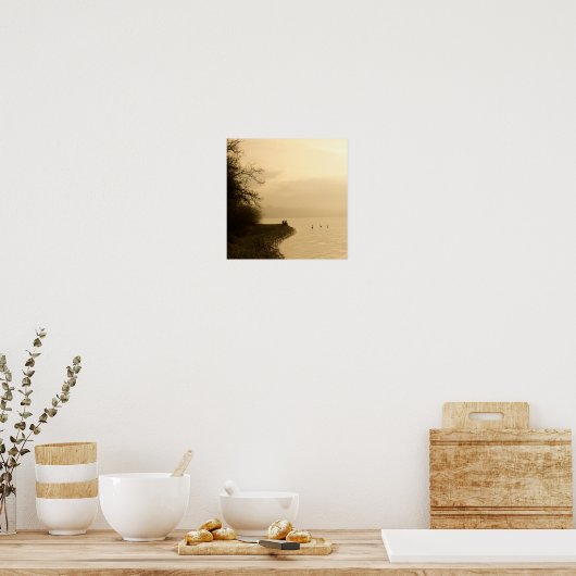 Zwans op een meer poster (Keuken)