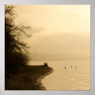 Zwans op een meer poster